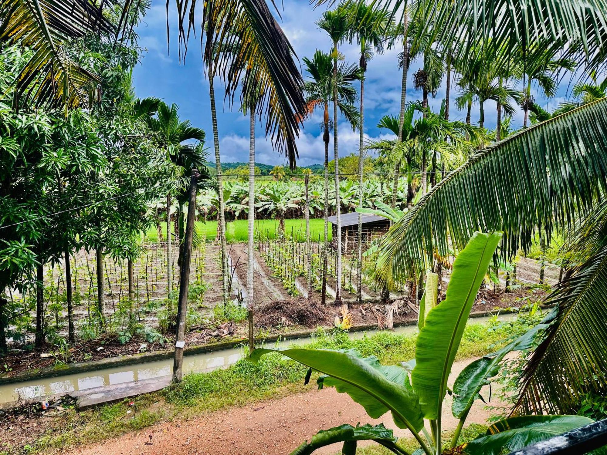 Blue Mountains View Apartment Dambulla Bagian luar foto
